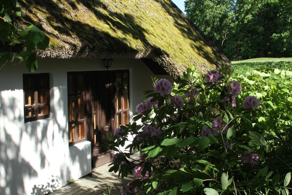 Denderi Villa Rubene Camera foto