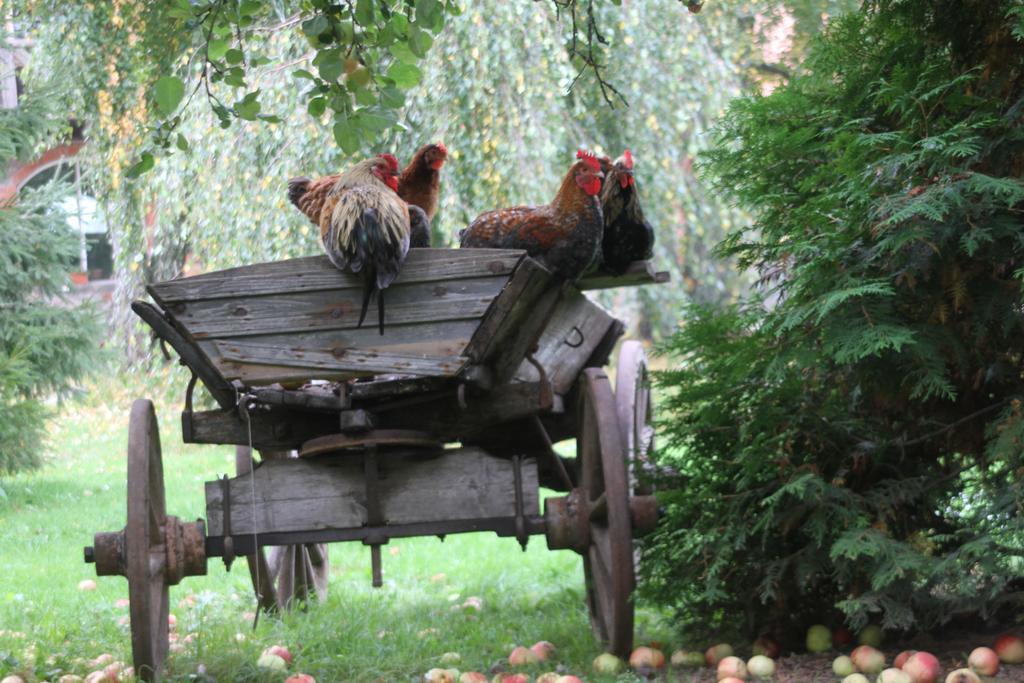 Denderi Villa Rubene Camera foto